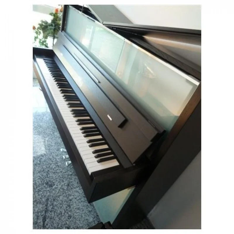 Không gian trưng bày Sauter Vitrea tại showroom Elite Piano