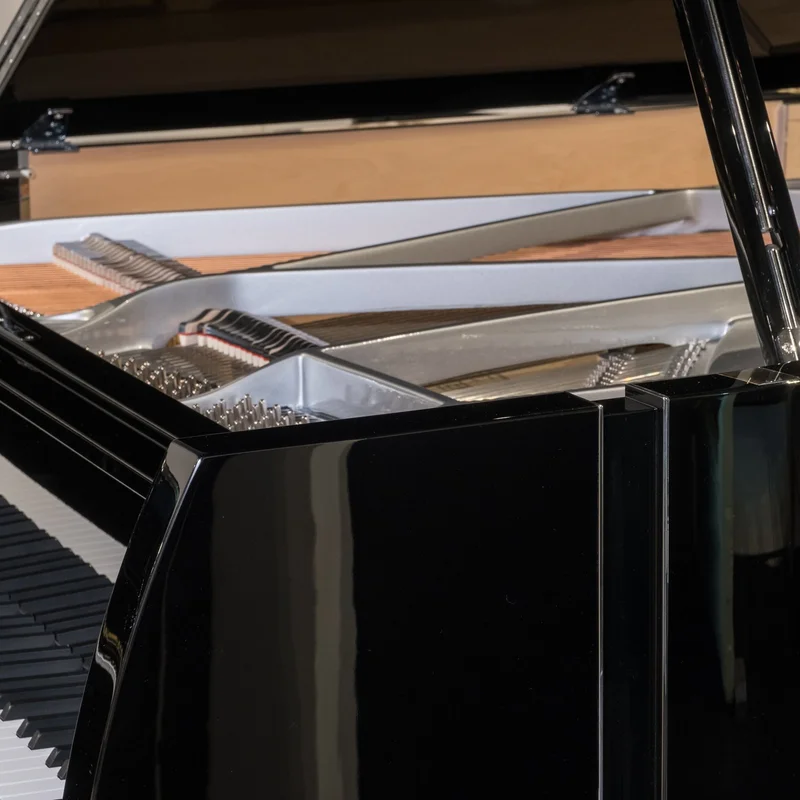Sauter Vivace 210 (Black Polished)