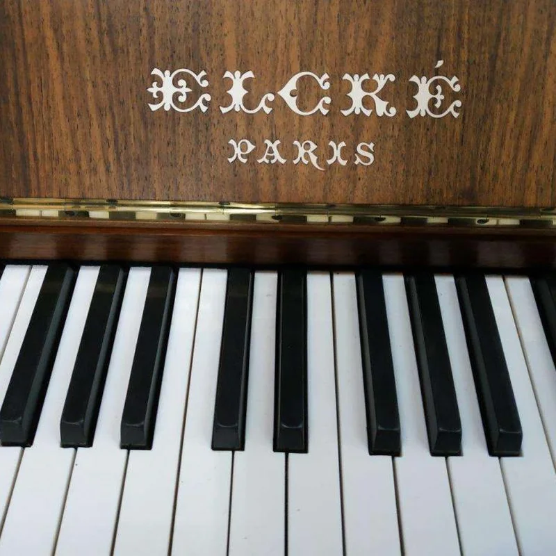 Review Belle Epoque – Hình ảnh thực tế tại showroom Elite Piano