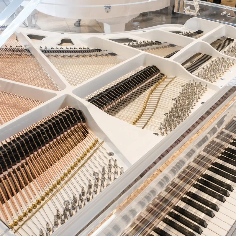 Review Schreiner & Söhne G52 – Hình ảnh thực tế tại showroom Elite Piano