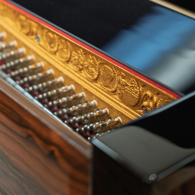 SE-126 ATTRACTION ZIRICOTE WOOD & POLISH EBONY – Toàn cảnh thiết kế tại Elite Piano