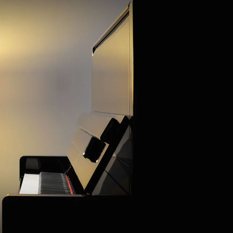 Review SE-126 ATTRACTION – Hình ảnh thực tế tại showroom Elite Piano