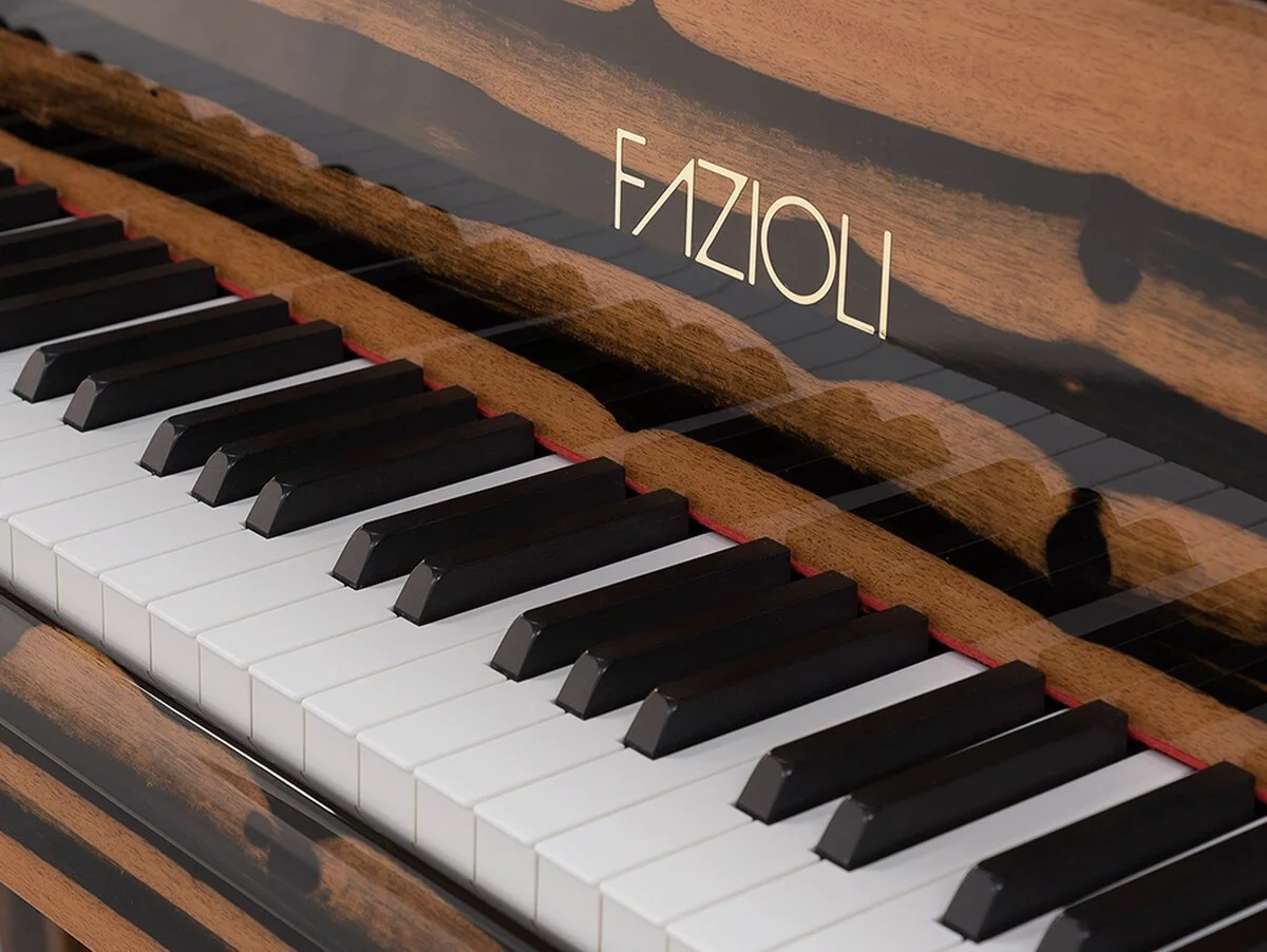 Fazioli Ebony Black & White