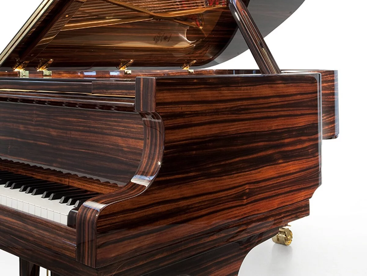 Fazioli Macassar – Toàn cảnh thiết kế tại Elite Piano