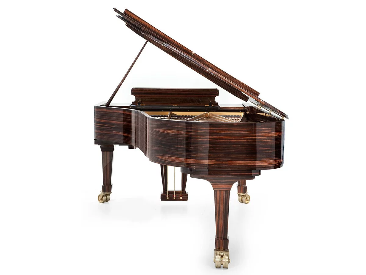 Review Fazioli Macassar – Hình ảnh thực tế tại showroom Elite Piano