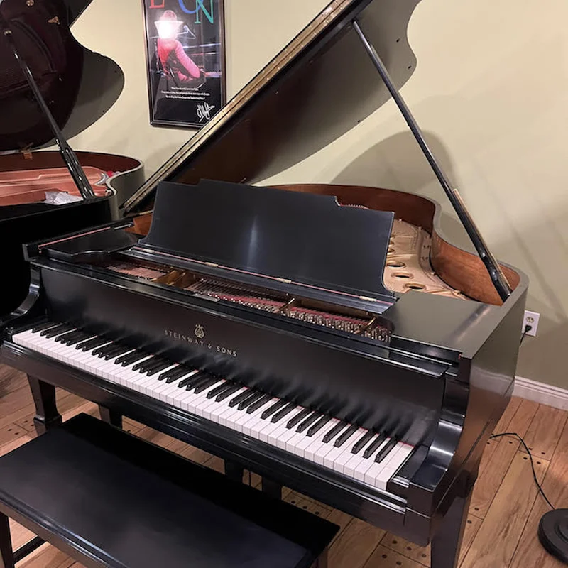 STEINWAY MODEL M (USED) – Toàn cảnh thiết kế tại Elite Piano