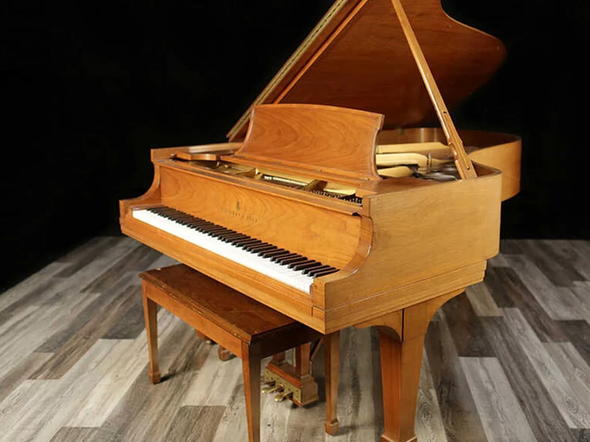 STEINWAY A3 WN - Đàn Piano Steinway & Sons tại Elite Piano