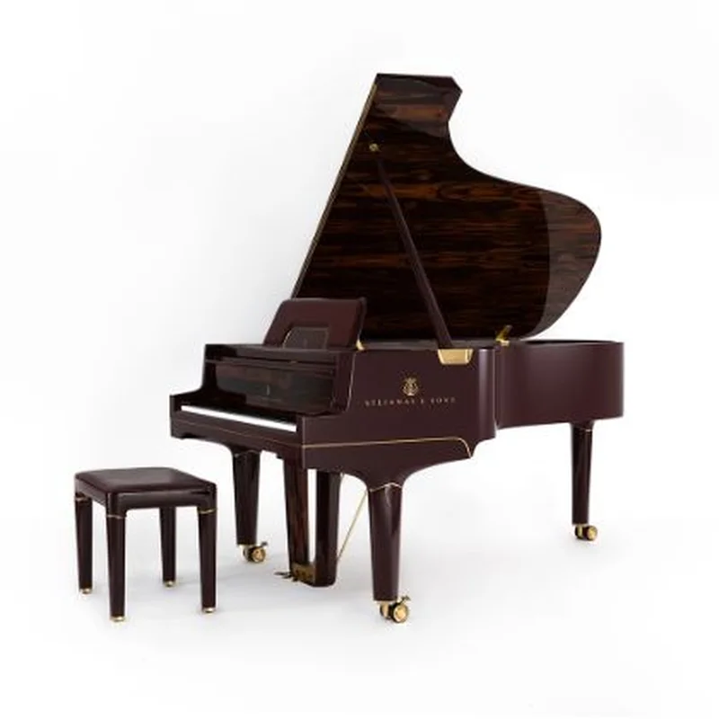 Steinway & Sons Gran Nichetto (The Black Polished)