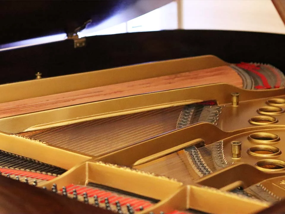 Review STEINWAY MODEL O (Wood) – Hình ảnh thực tế tại showroom Elite Piano