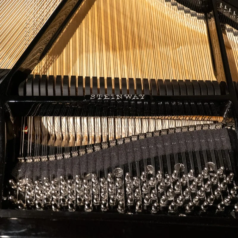 Steinway & Sons - The Jet Noir – Toàn cảnh thiết kế tại Elite Piano