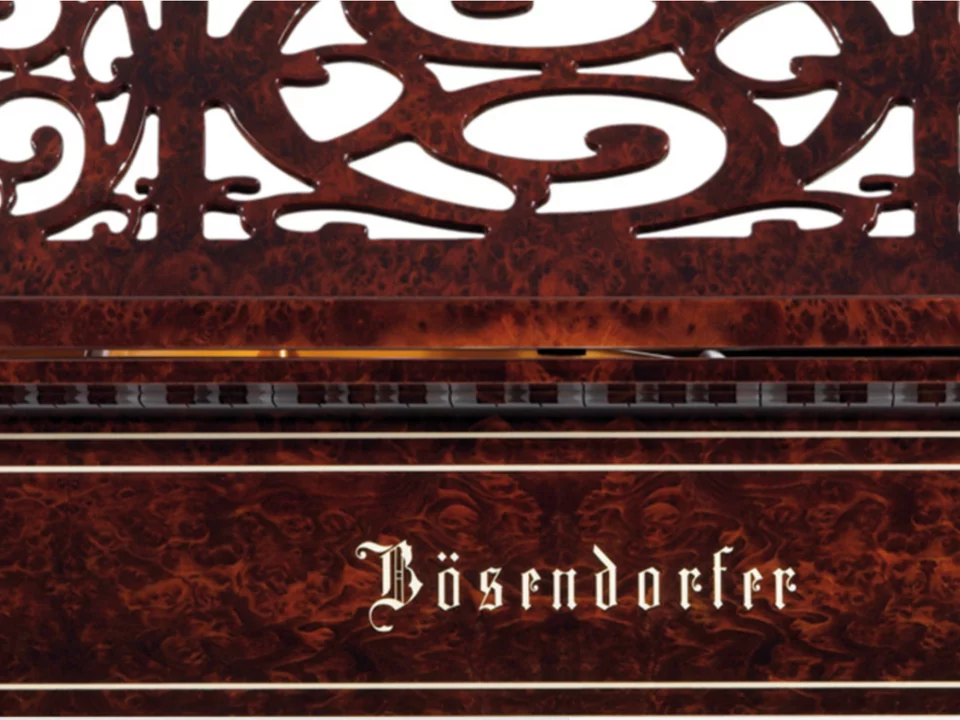 Liszt – Mặt sau và hệ thống dây đàn Bosendorfer