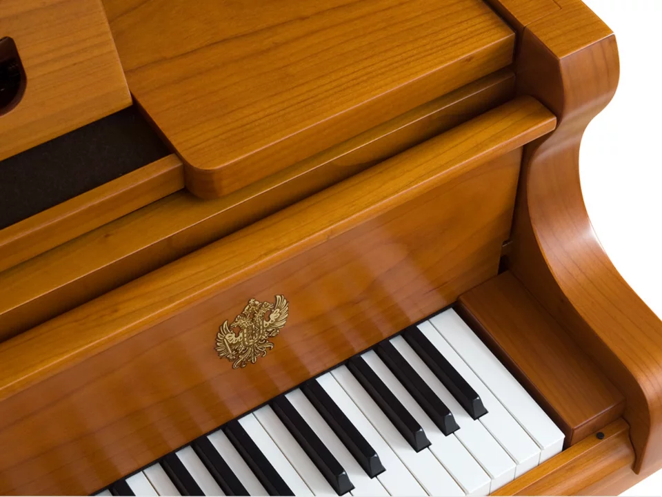 Strauss – Chi tiết thiết kế tại Elite Piano