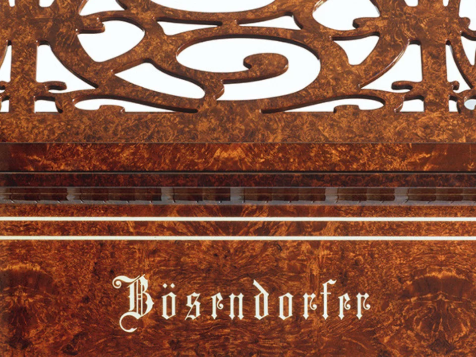 Đàn piano Bosendorfer Vienna – Chi tiết bàn phím