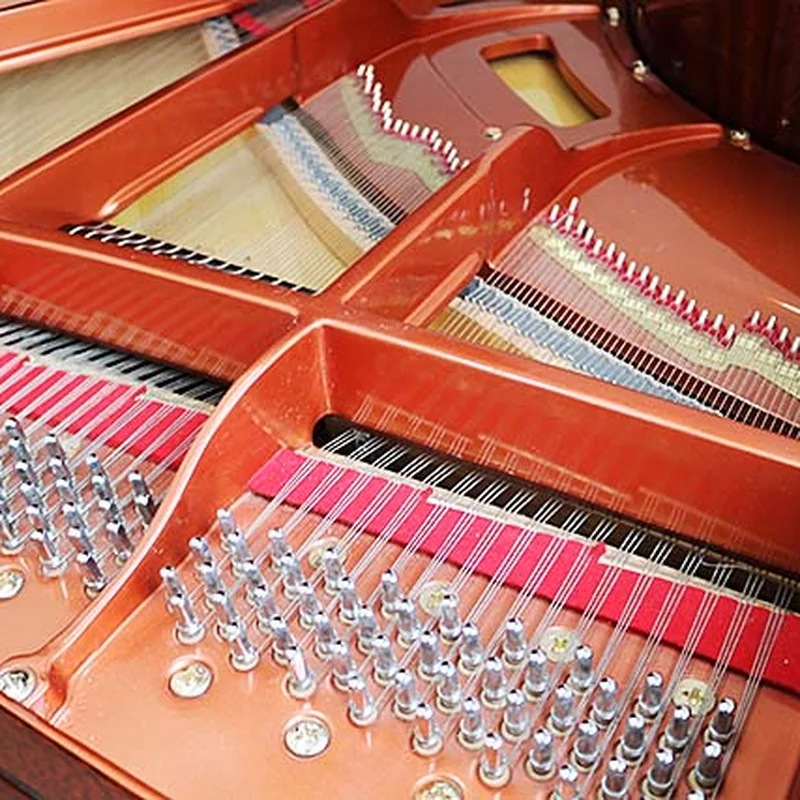 Review Wendl & Lung Mod.151 Professional III – Hình ảnh thực tế tại showroom Elite Piano