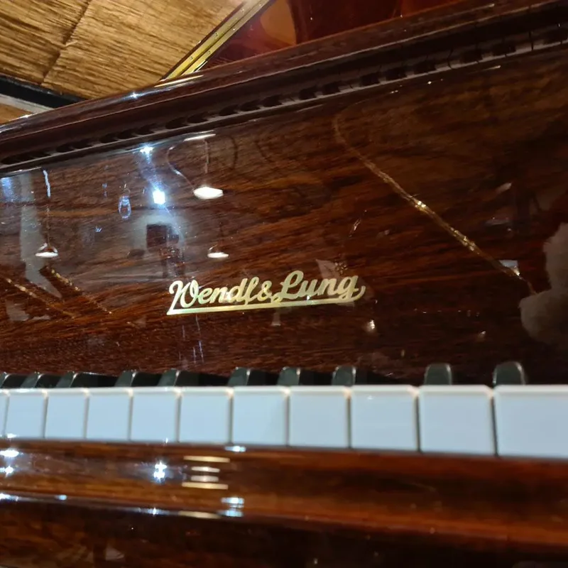 Wendl & Lung Mod.151 Mahogany - Silent – Toàn cảnh thiết kế tại Elite Piano