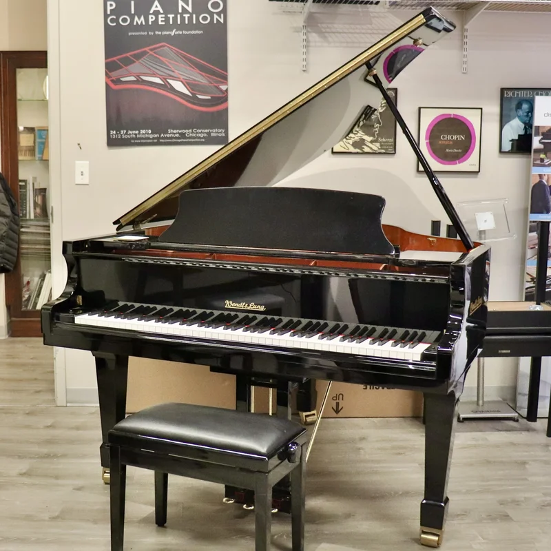 Wendl & Lung Mod.161 Professional I – Toàn cảnh thiết kế tại Elite Piano