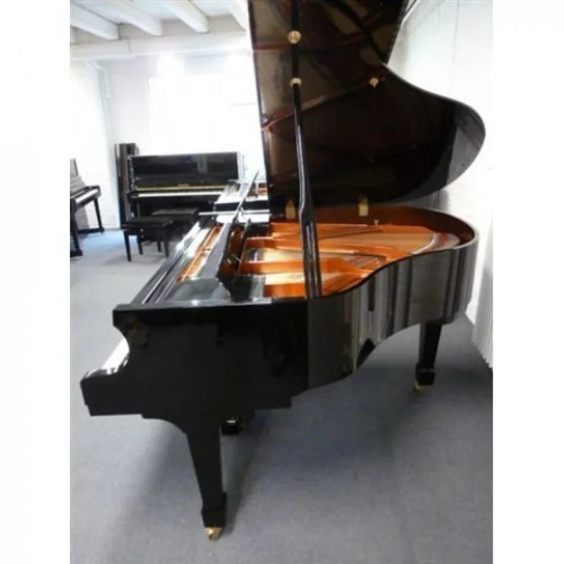 Đàn piano Wendl & Lung Wendl & Lung Mod.161 Professional I – Chi tiết bàn phím