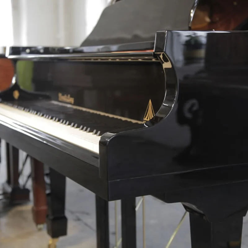 Review Wendl & Lung Mod.161 Professional I – Hình ảnh thực tế tại showroom Elite Piano