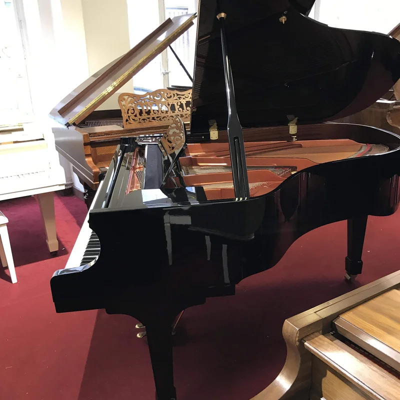 Wendl & Lung Mod.178 Professional II Mahogany