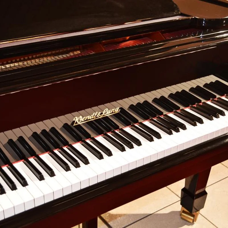 Review Wendl & Lung Mod.178 Professional II Mahogany – Hình ảnh thực tế tại showroom Elite Piano