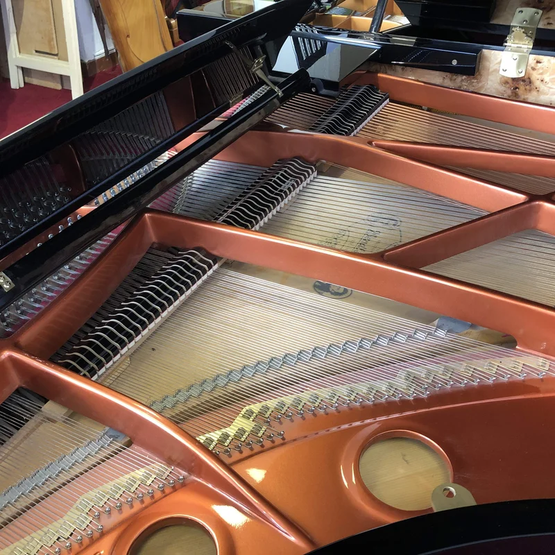 Wendl & Lung Mod.218 Concert I – Toàn cảnh thiết kế tại Elite Piano