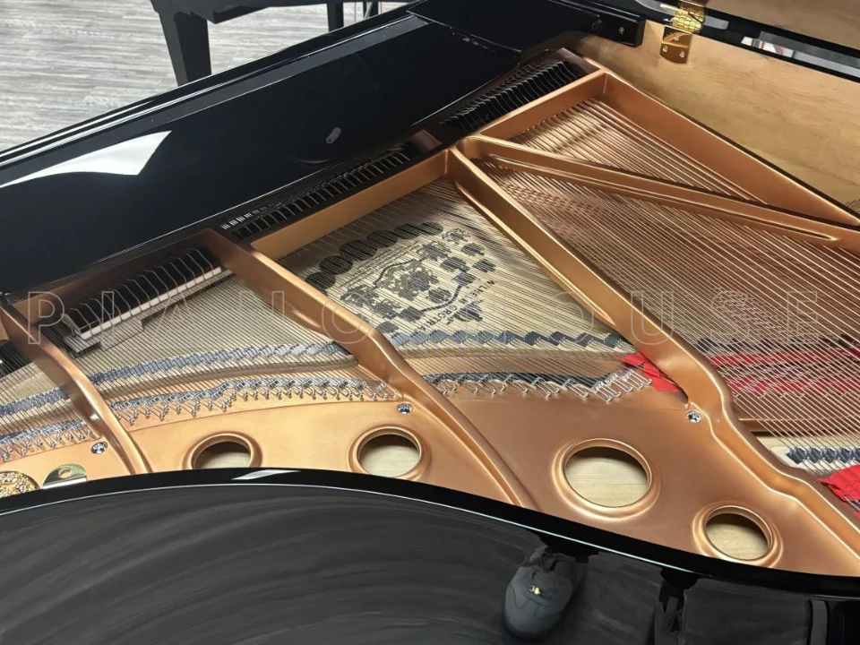 Review Wilhelm Grotrian WGS152 – Hình ảnh thực tế tại showroom Elite Piano