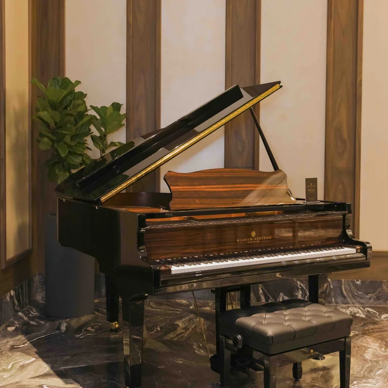 Review Wilhelm Grotrian WGS165 – Hình ảnh thực tế tại showroom Elite Piano