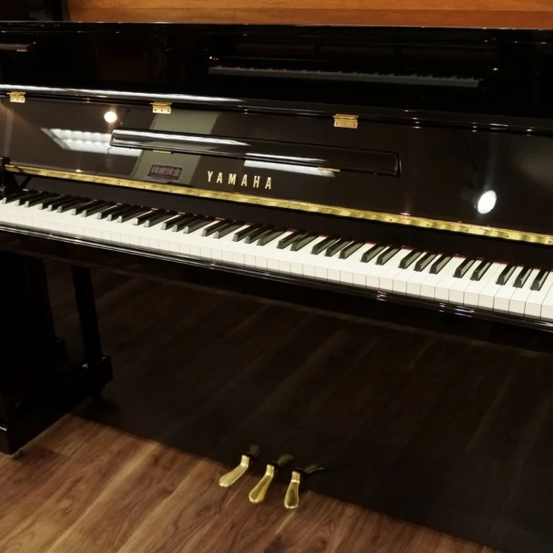 Yamaha B113