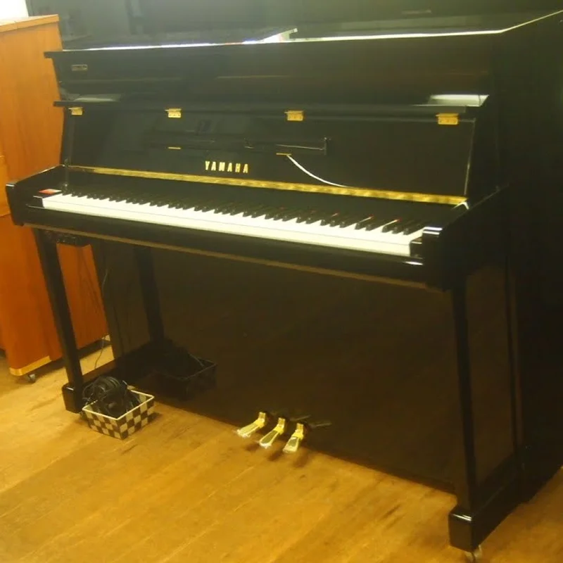 Yamaha B113