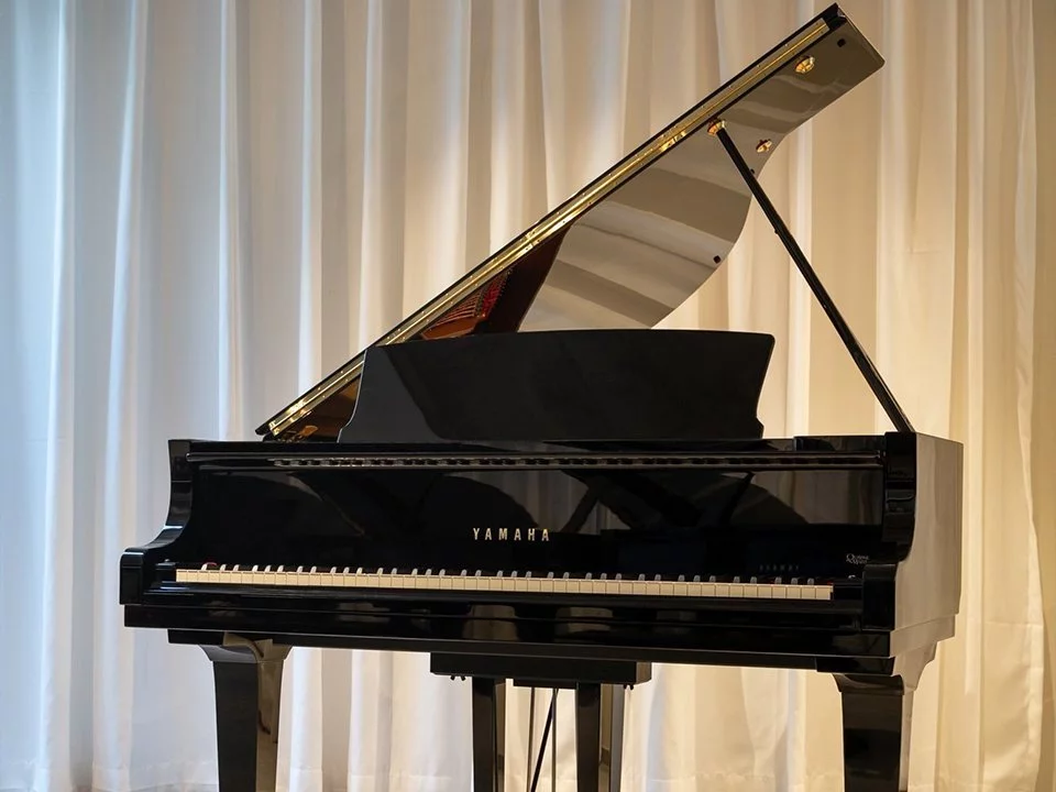 YAMAHA C1 PE