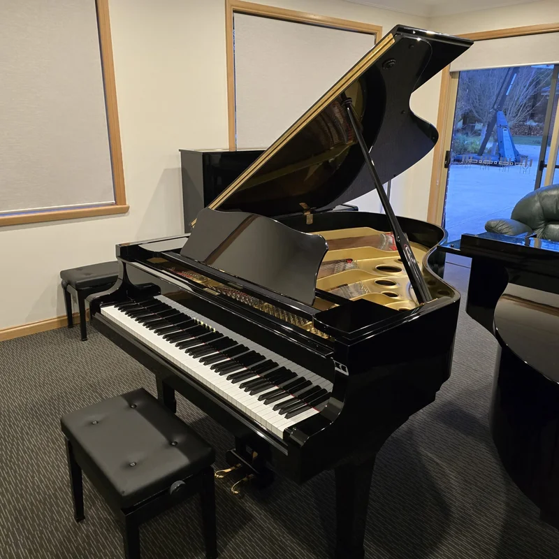 YAMAHA C3E
