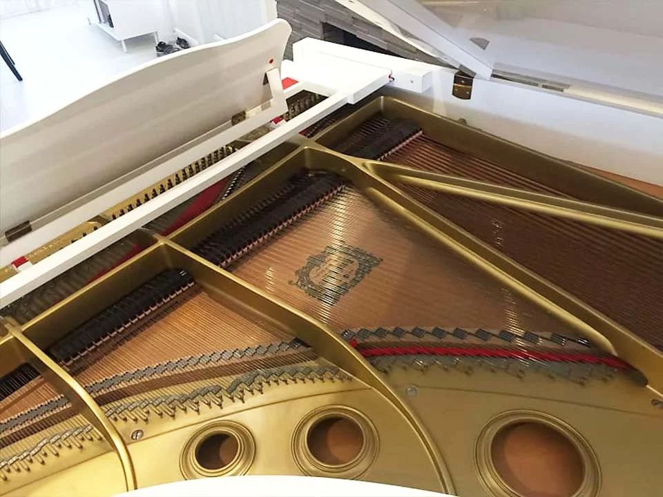 Yamaha C5 Wh tại showroom Elite Piano TP.HCM