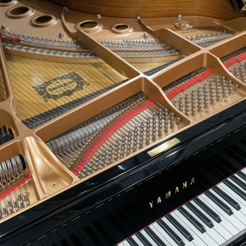 Review YAMAHA C5 Wh – Hình ảnh thực tế tại showroom Elite Piano