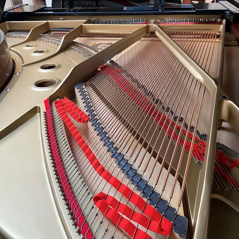 YAMAHA C5 Wh