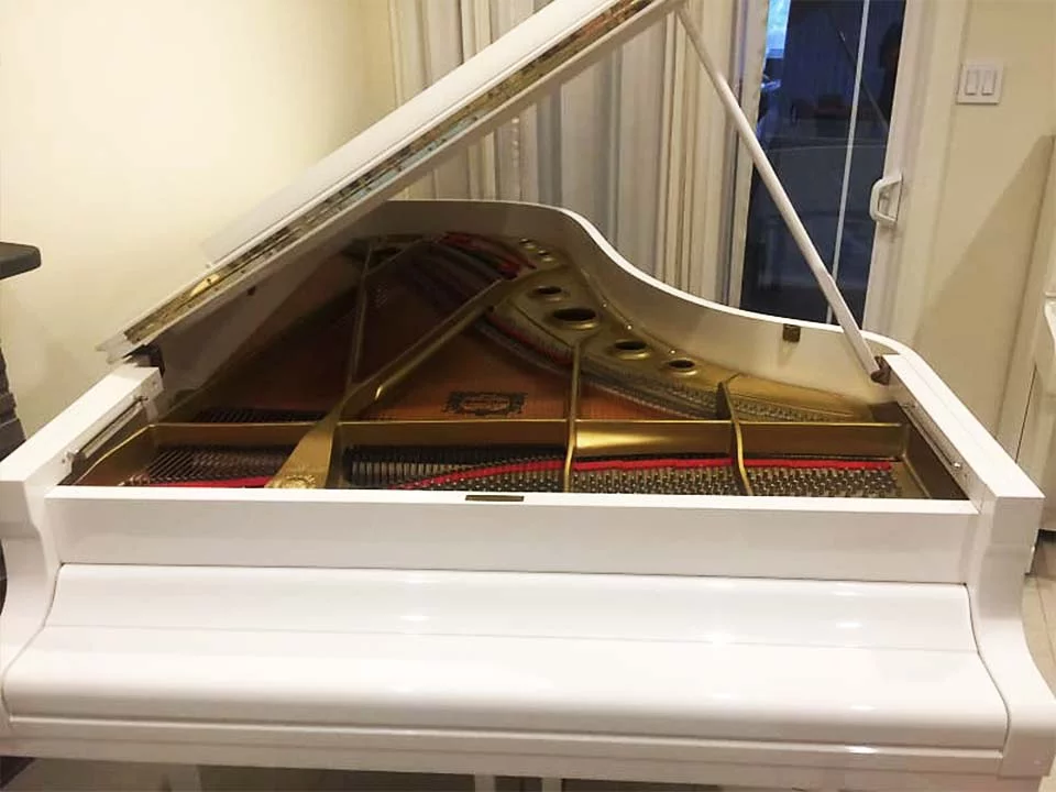 YAMAHA C5A PWH Seri 4