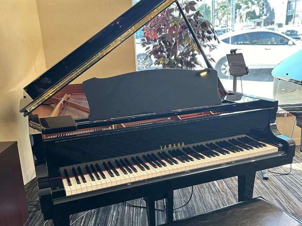 YAMAHA C5E