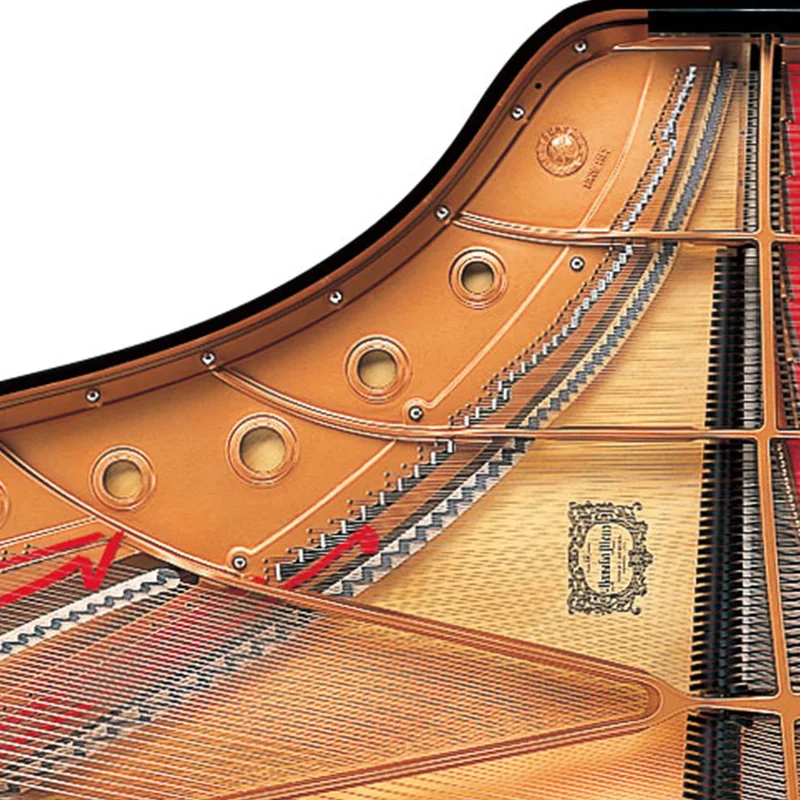Review YAMAHA C5X – Hình ảnh thực tế tại showroom Elite Piano