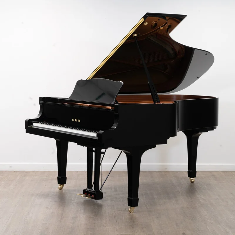 YAMAHA C6 PE