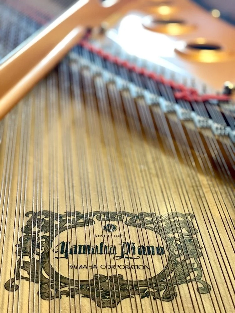 YAMAHA C7X PE – Ghế đàn và phụ kiện đi kèm