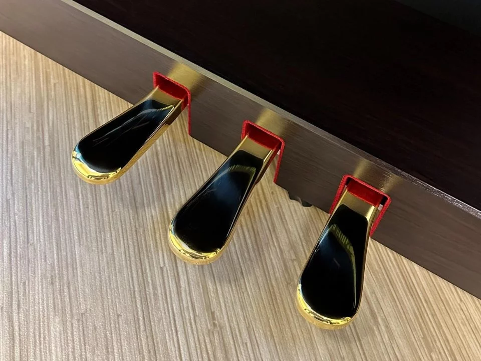 Showroom Elite Piano tại TP.HCM