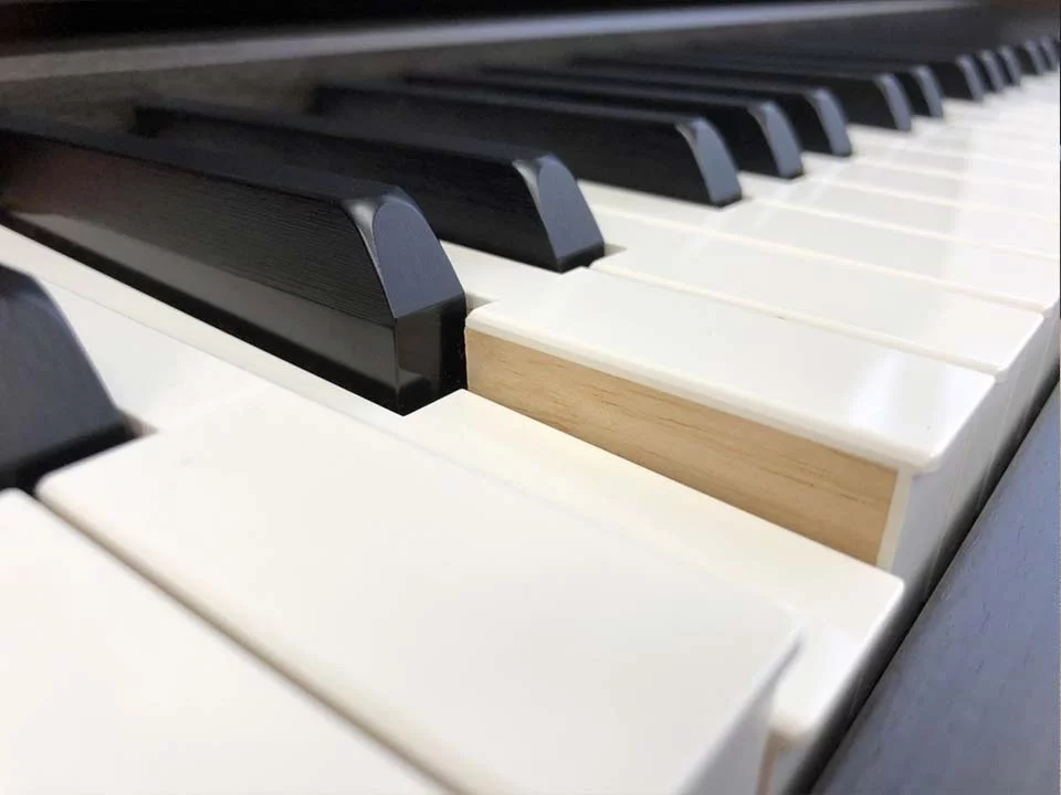 Review YAMAHA CLP-675 DW – Hình ảnh thực tế tại showroom Elite Piano