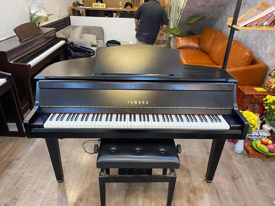 YAMAHA DGP1