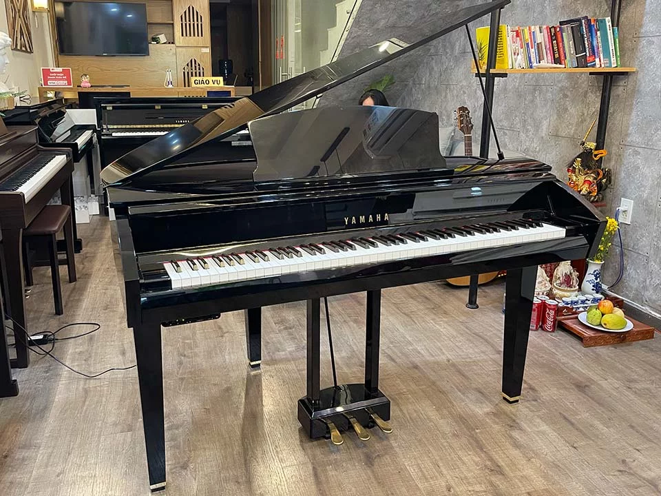 YAMAHA DGP7
