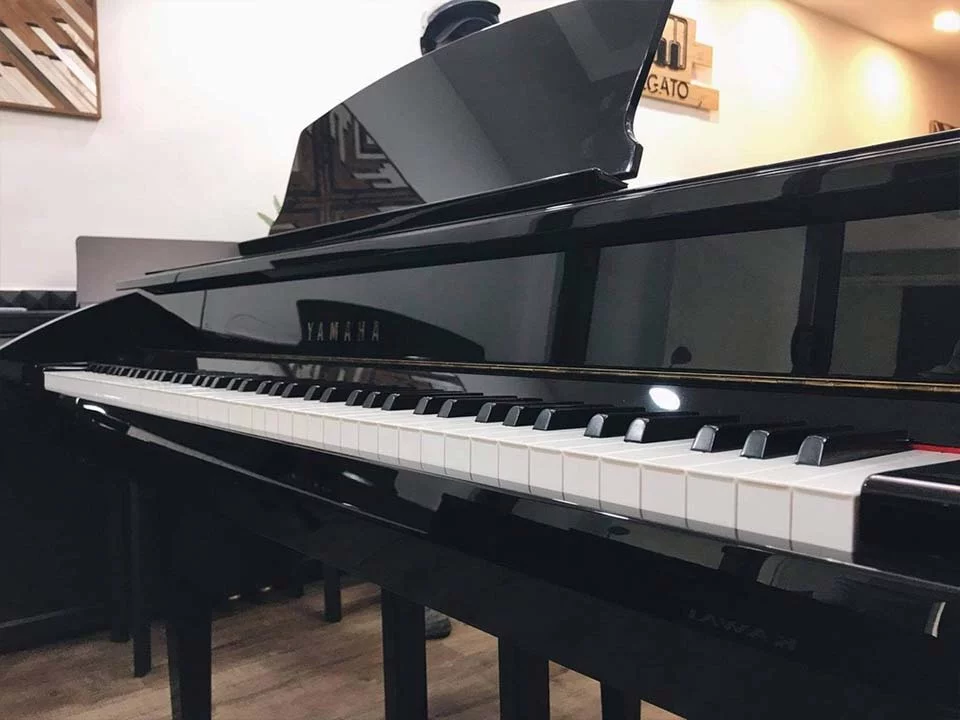 Review YAMAHA DGP7 – Hình ảnh thực tế tại showroom Elite Piano