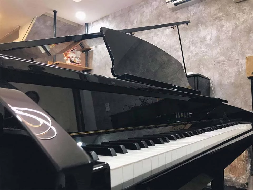 YAMAHA DGP7