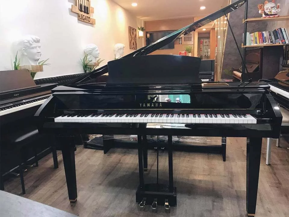 YAMAHA DGP7