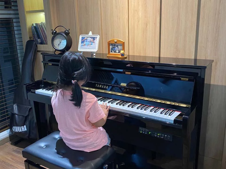 YAMAHA DUP-20 PE