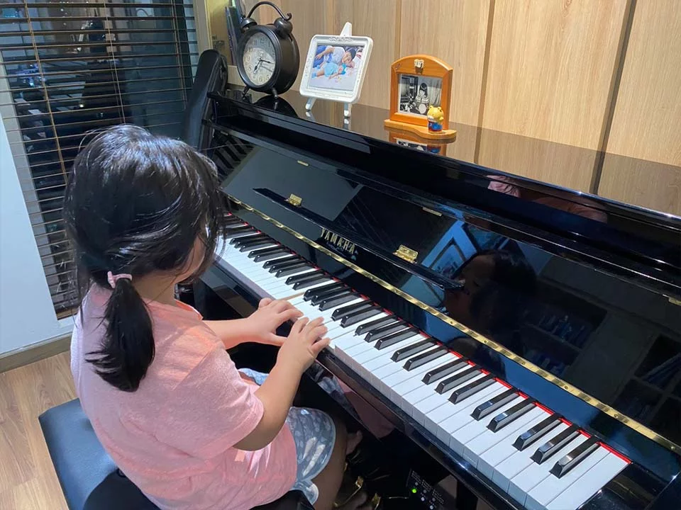 YAMAHA DUP-20 PE
