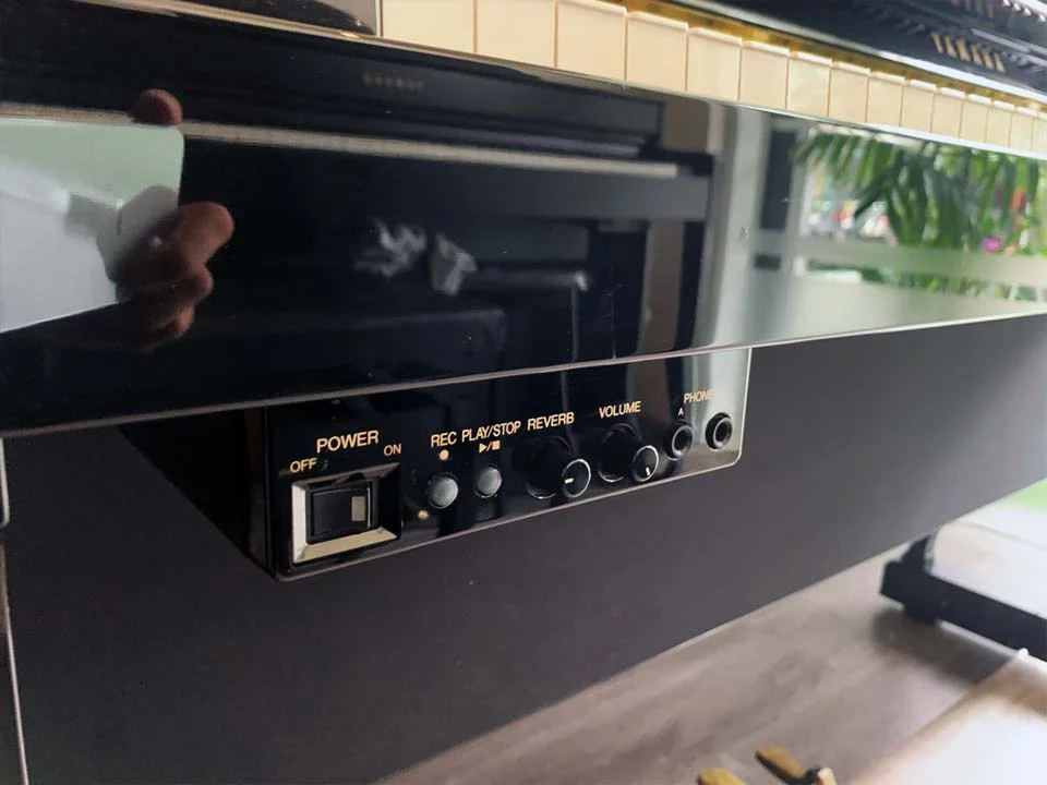 YAMAHA DUP-22 PE