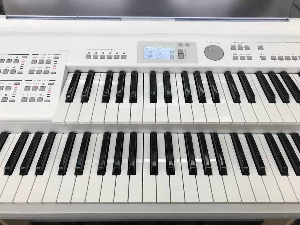 YAMAHA ELB-02 (New)
